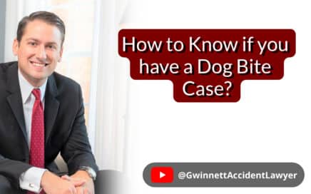 How to Know if you have a Dog Bite Case?